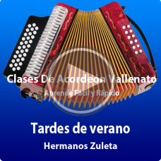 Tardes de verano